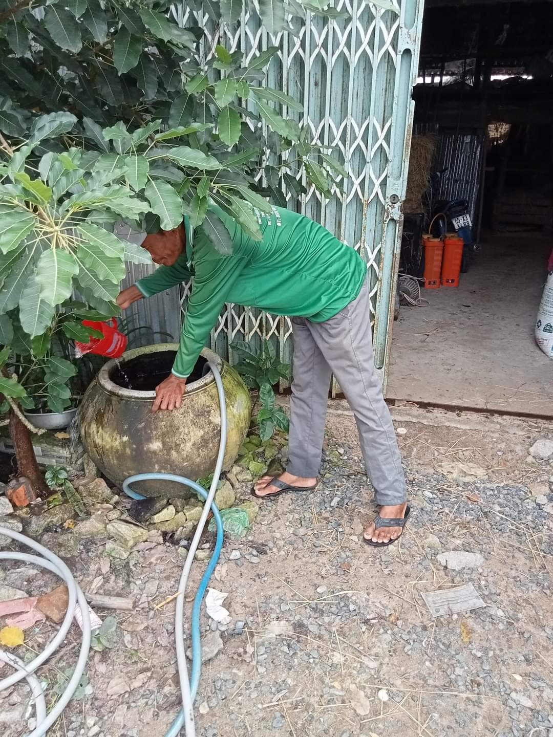 Diệt lăng quăng